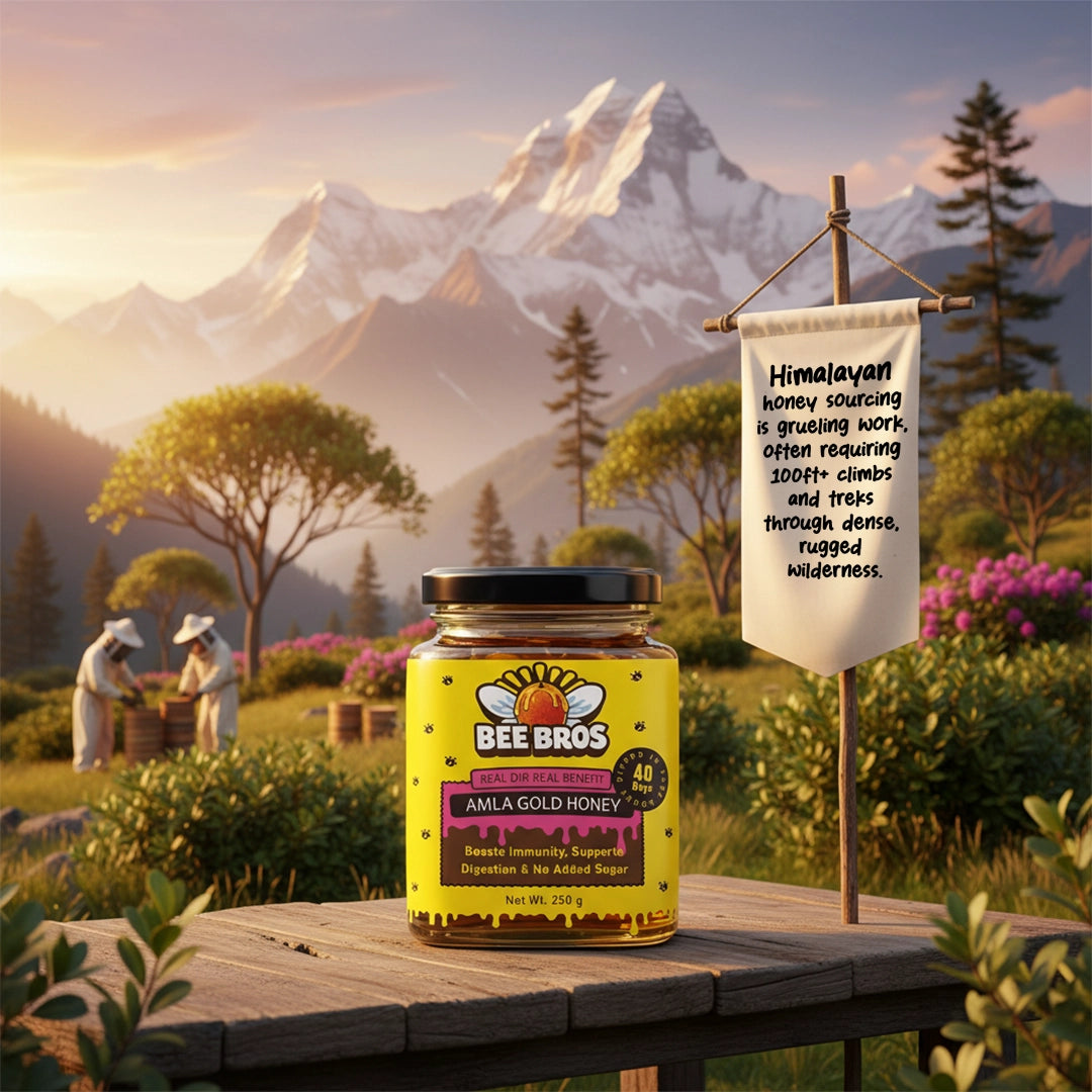 Real & Raw Immunity booster combo pack (Value pack)